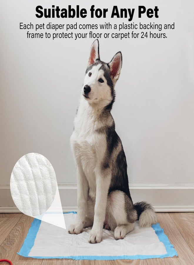 JONYEE Basics Dog and Puppy Pee Pads with 4-Layer Leak-Proof and Quick-Dry Design for Potty Training, 13” x 17” Ultra Absorbent Disposable Changing Pads for Small Pets -Blue(25 Count) - Image 5